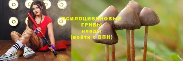 эйфоретик Алексеевка
