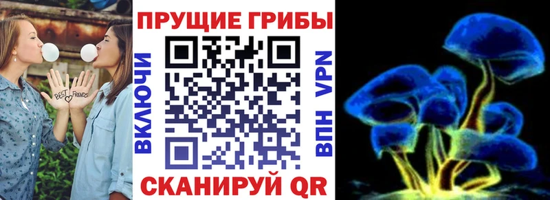 ОМГ ОМГ вход Малоархангельск Псилоцибиновые грибы ЛСД